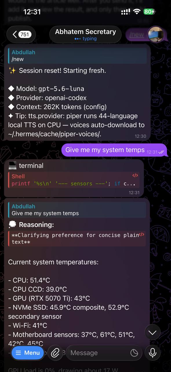 Hermes running through Telegram
