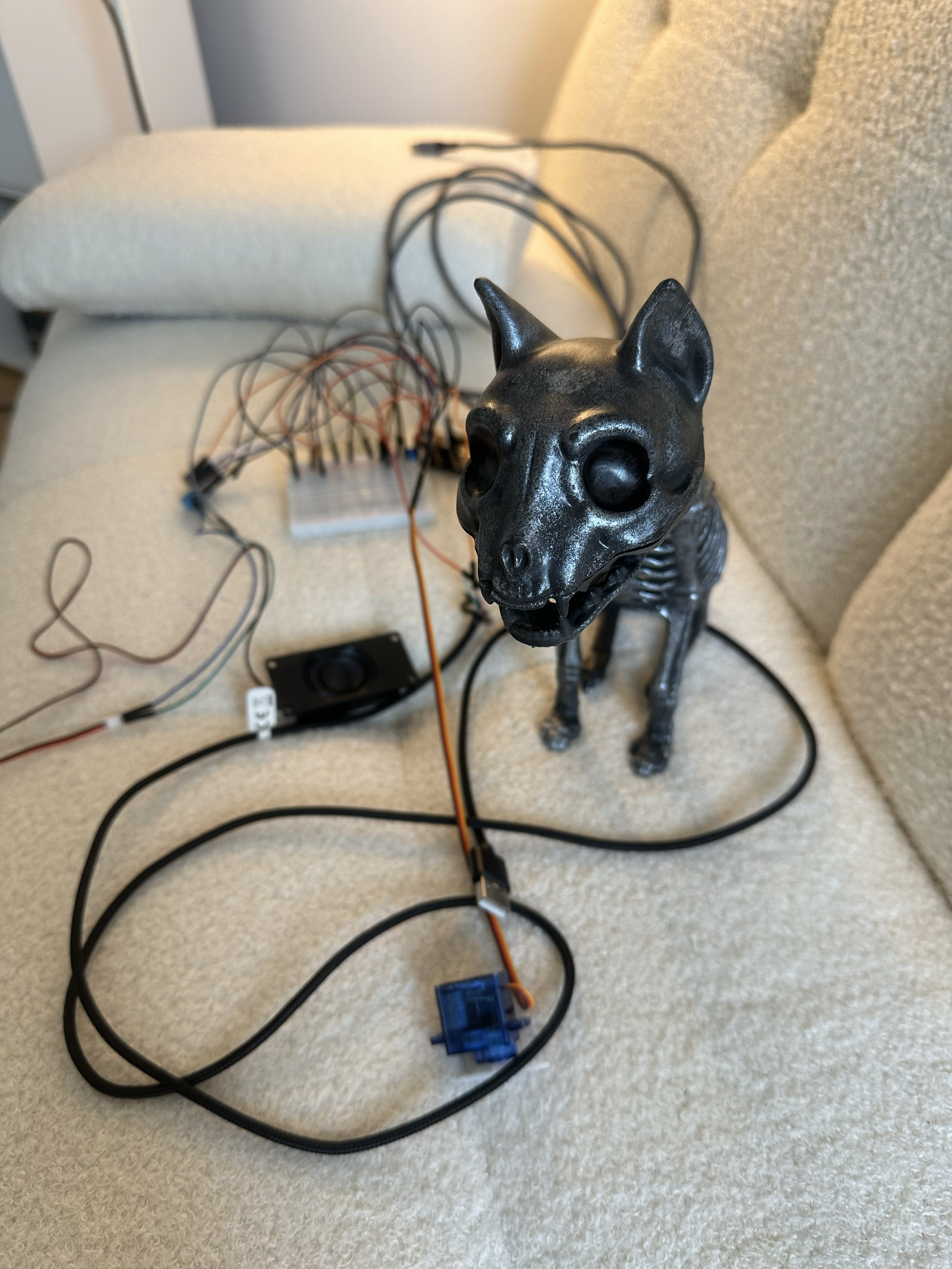 skeleton on couch